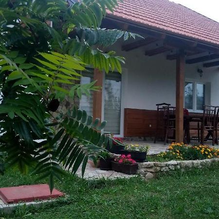 Nektar Park Villa Sara Bihać 外观 照片