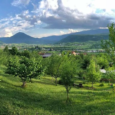 Nektar Park Villa Sara Bihać 外观 照片