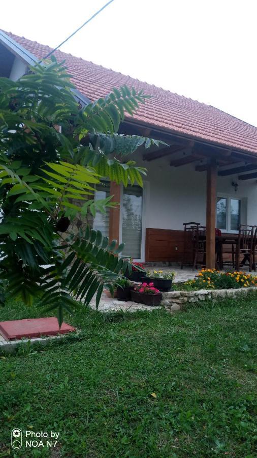 Nektar Park Villa Sara Bihać 外观 照片