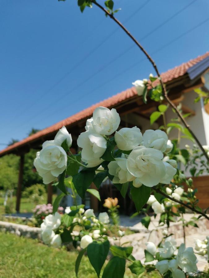 Nektar Park Villa Sara Bihać 外观 照片