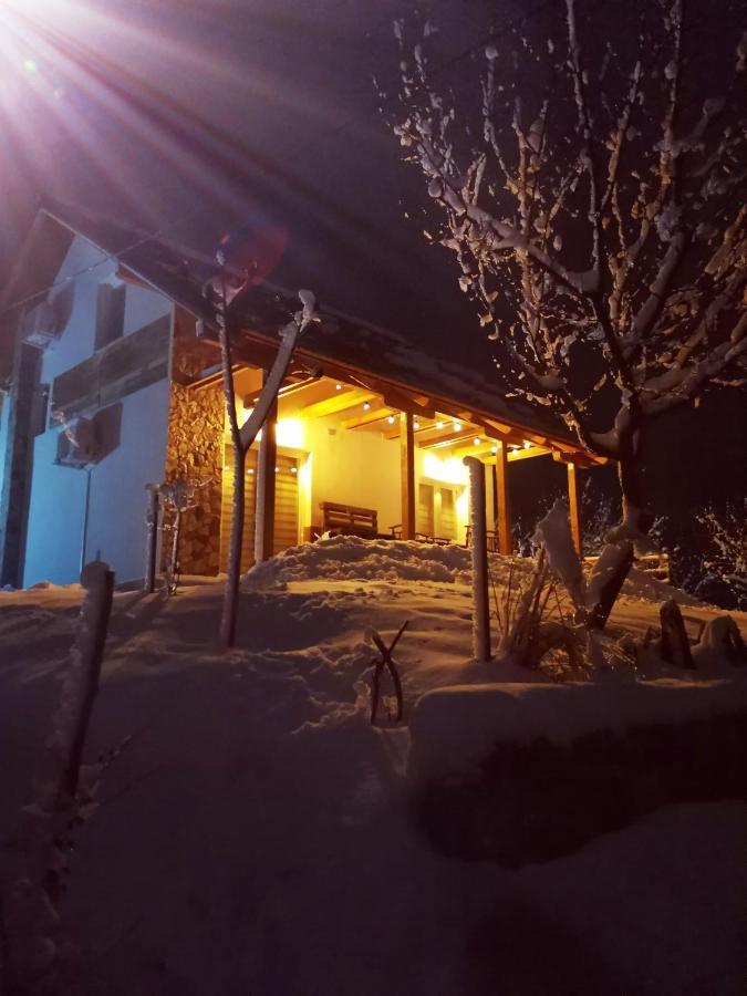 Nektar Park Villa Sara Bihać 外观 照片