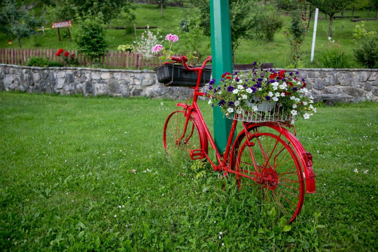Nektar Park Villa Sara Bihać 外观 照片