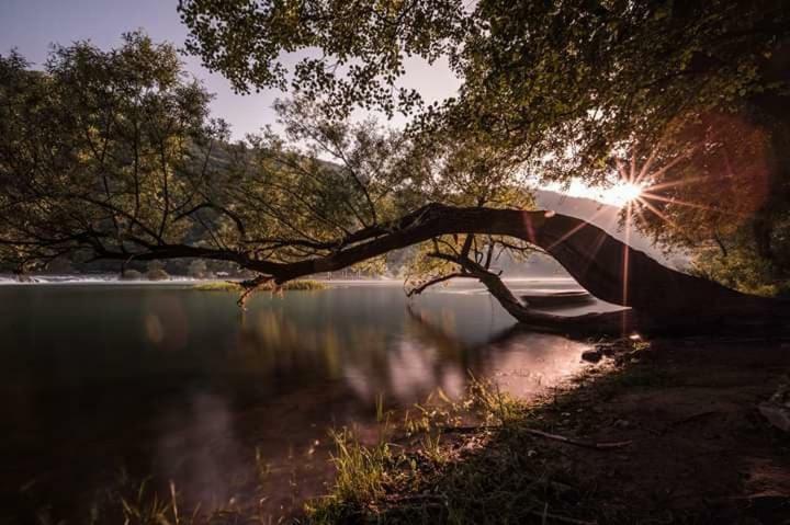 Nektar Park Villa Sara Bihać 外观 照片