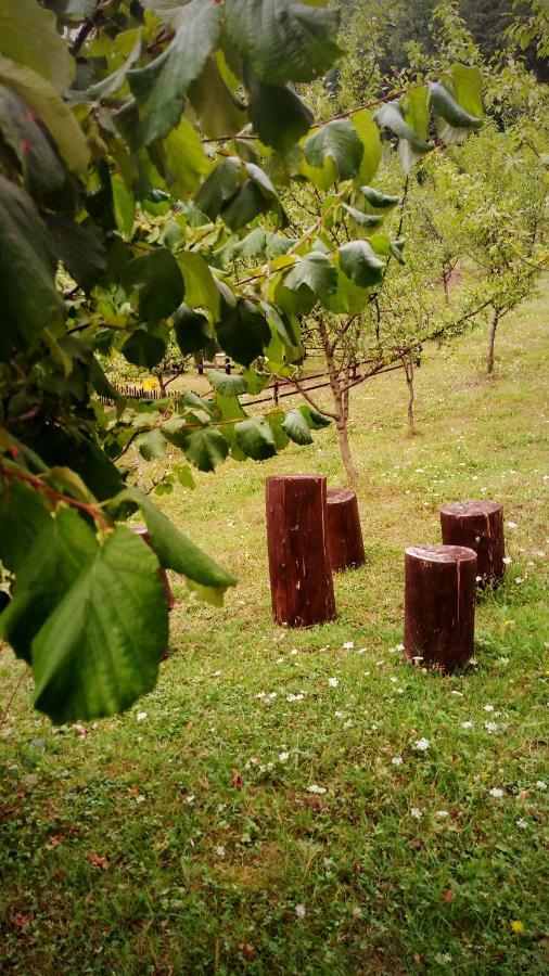Nektar Park Villa Sara Bihać 外观 照片
